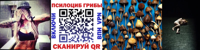 Псилоцибиновые грибы мухоморы  как найти наркотики  Мариинский Посад 